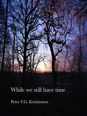 cover image of While We Still Have Time